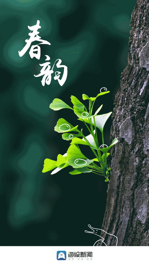 3d动态壁纸手机壁纸缩略图