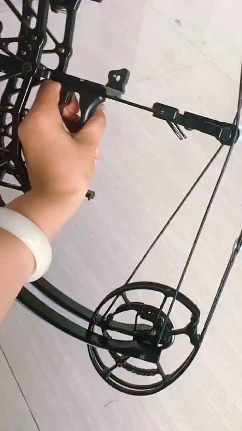 复合弓打钢珠视频