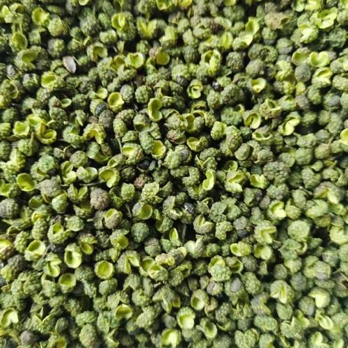 青花椒的功效与作用及食用方法缩略图