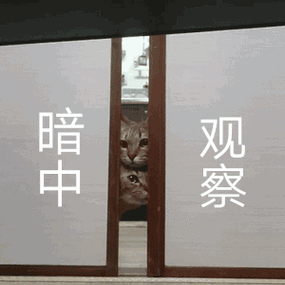 qq浏览好友动态会被看到吗截图