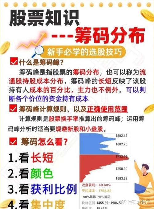 股市中的筹码是什么意思