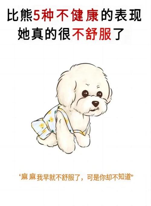 狗狗喊疼的五个信号截图
