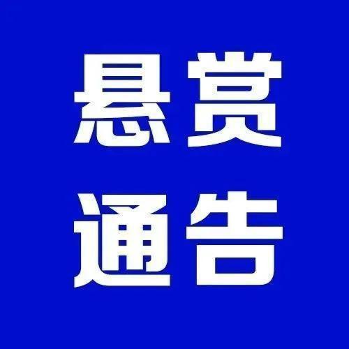 保存到本地的文件在哪里