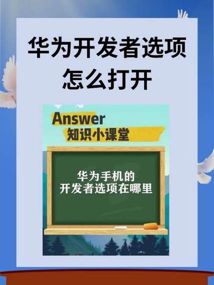 华为开发者选项在哪里打开