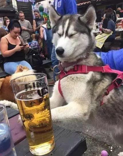 不省人事打一句