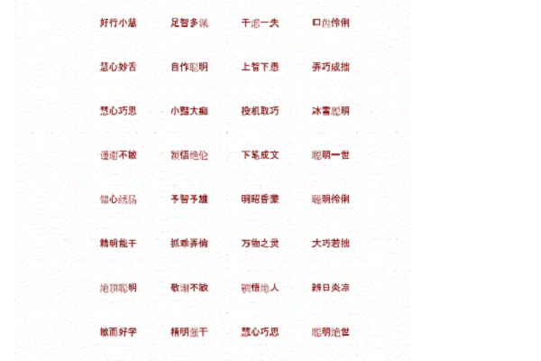 智慧最佳搭配的词语