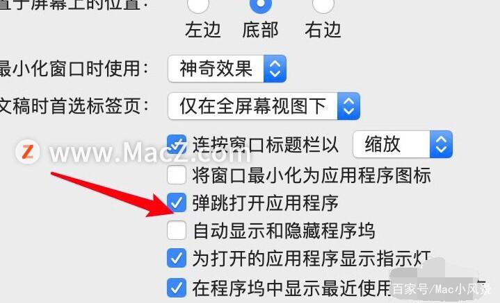 苹果平板怎么取消程序坞截图