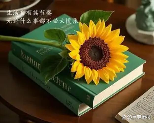 我的世界从此以后多了一个你什么歌截图