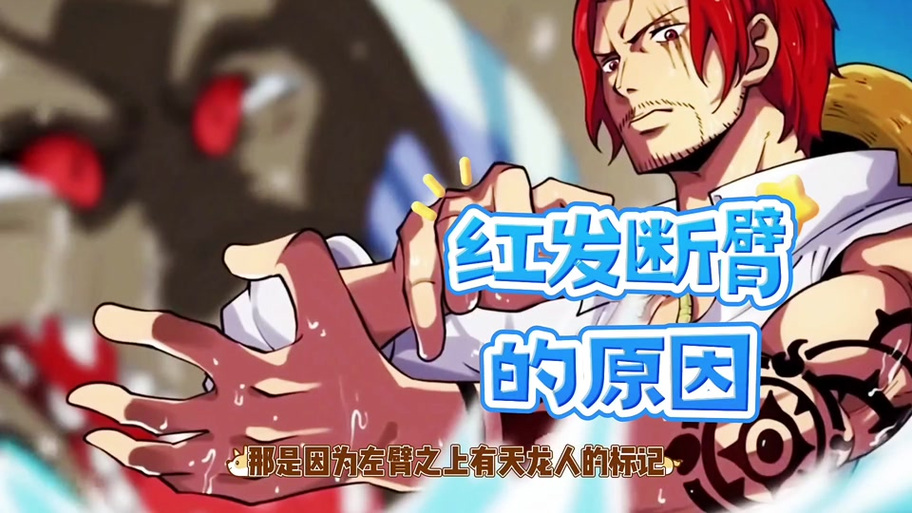 海贼从捡到红发断臂开始