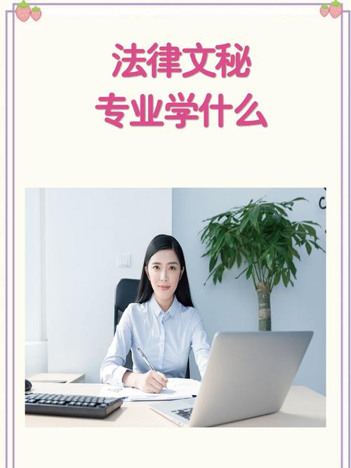 法务一般是什么学历