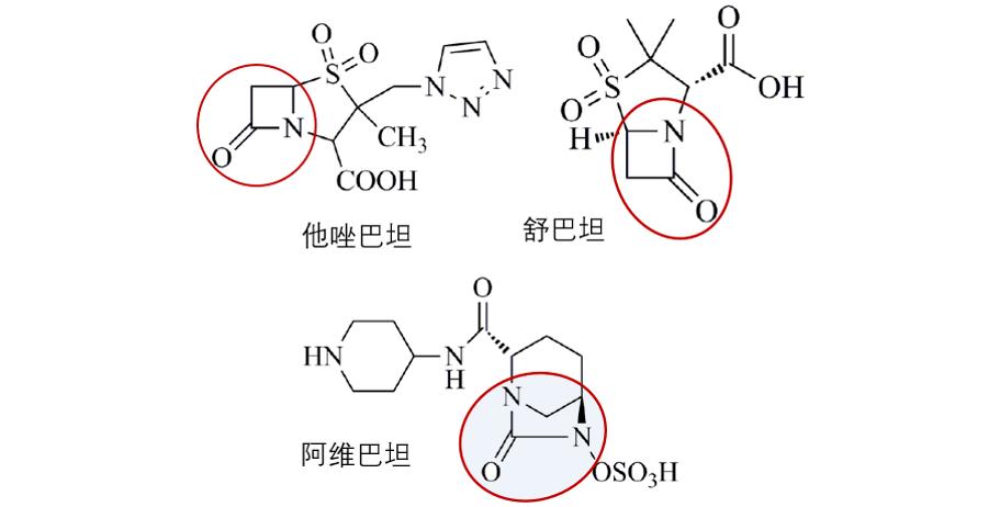 阿维巴坦与他唑巴坦