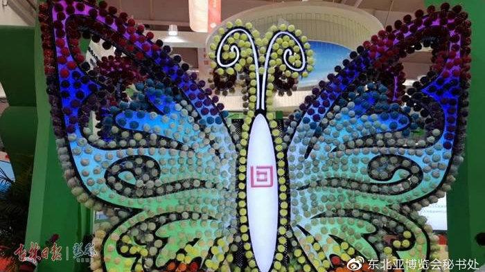 蝶变的含义