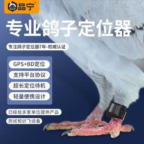 革泰定位