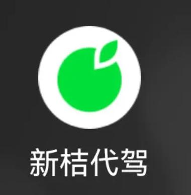 新桔代驾司机端官网缩略图