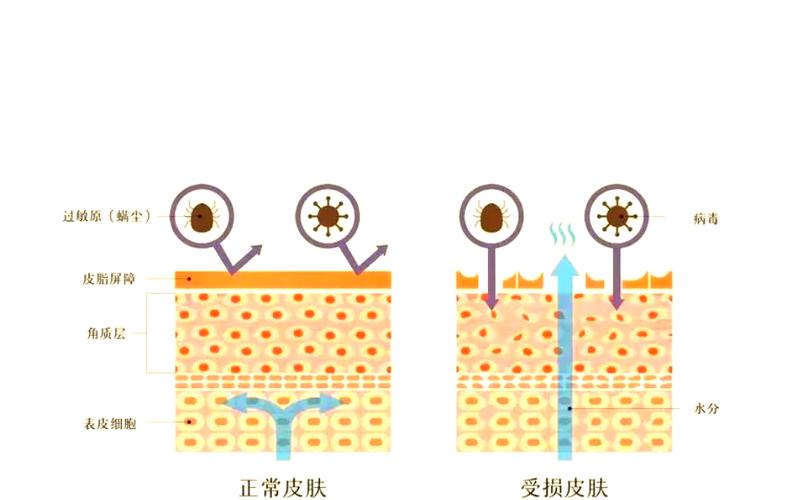 屏蔽应用怎么恢复