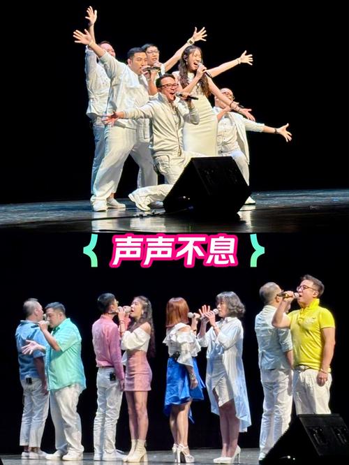 阿卡贝拉好学吗
