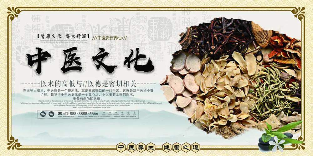 中医中国传统文化截图