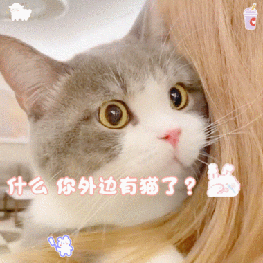 猫猫小队表情包图标