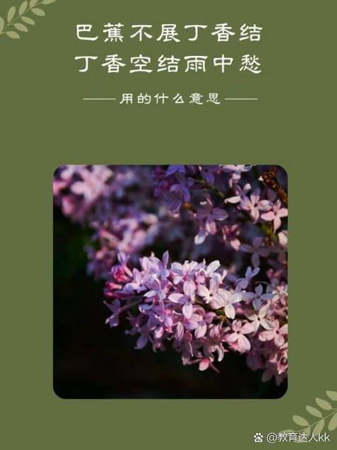 湖北方言翻译