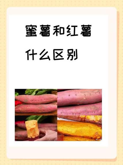 蜜薯和红薯的外观怎么区分