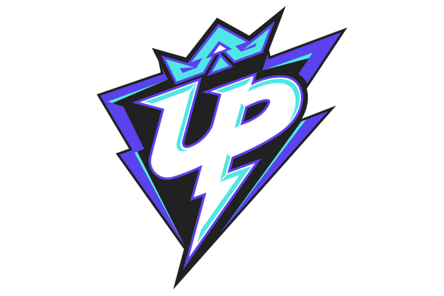 UP战队是哪个公司的