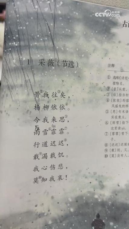 釆薇采薇作品