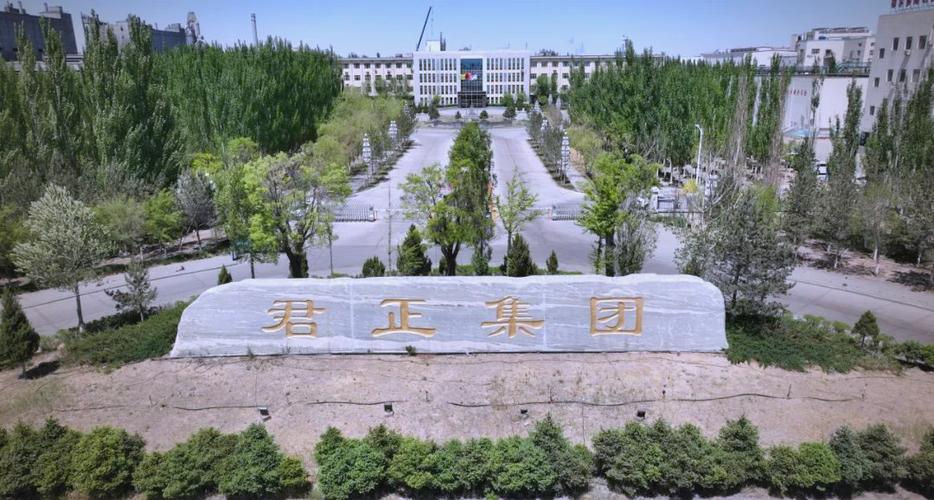 君正集团怎么样