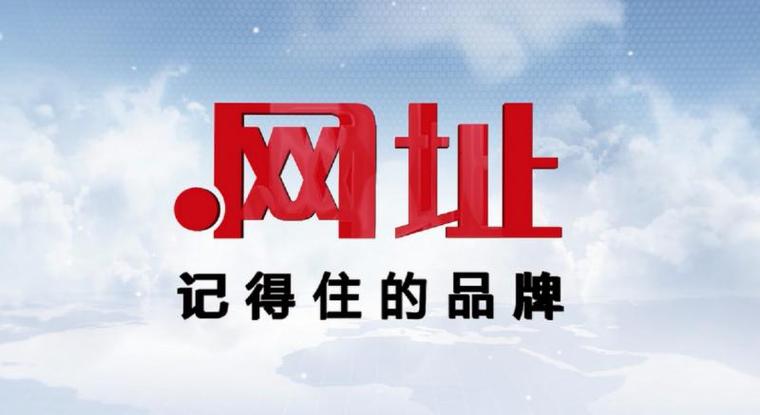 中文域名