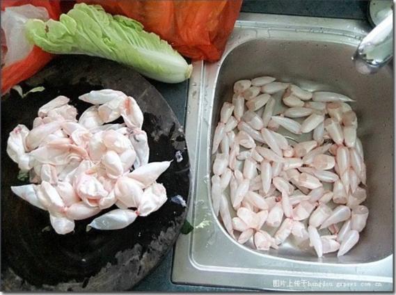 鲈鱼没有鱼鳔怎么回事