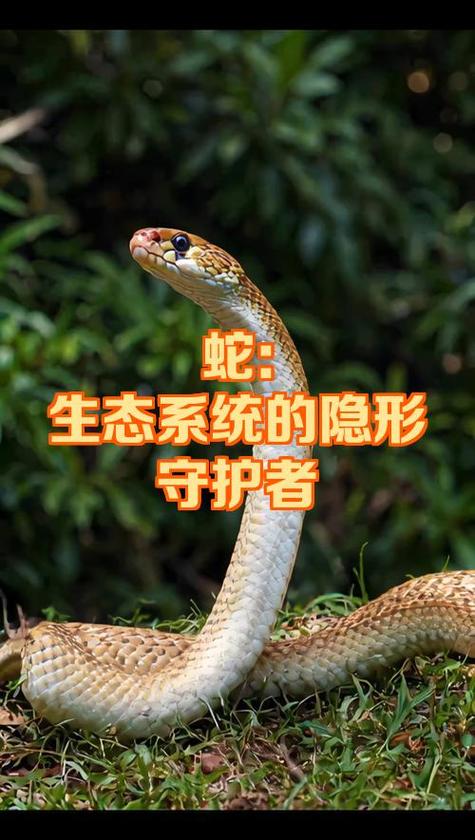 华为p30突然系统恢复图标