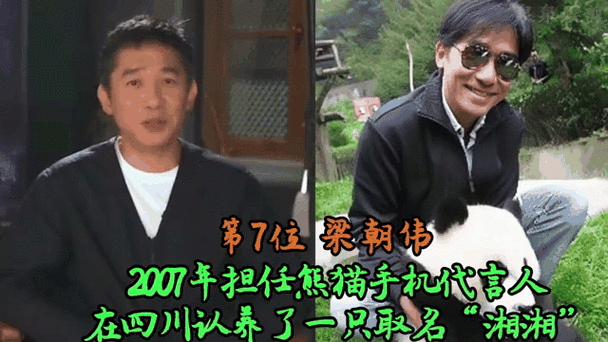 一共有多少明星认养了大熊猫