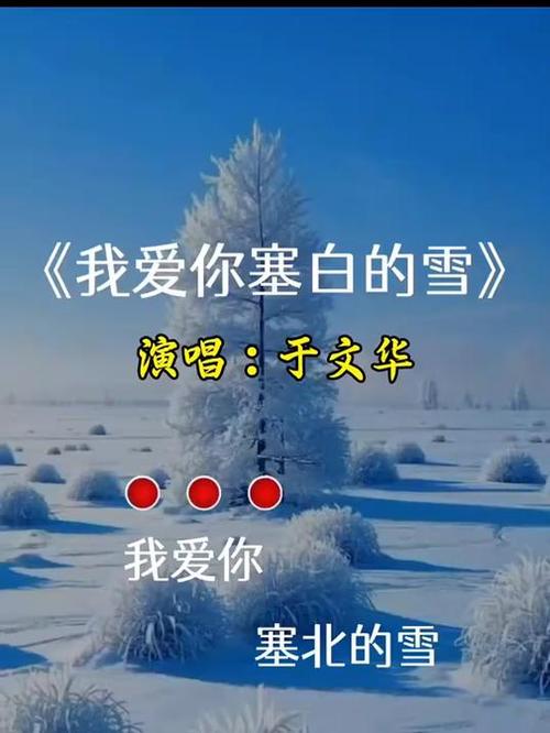 雪的歌曲最好听的十首图标