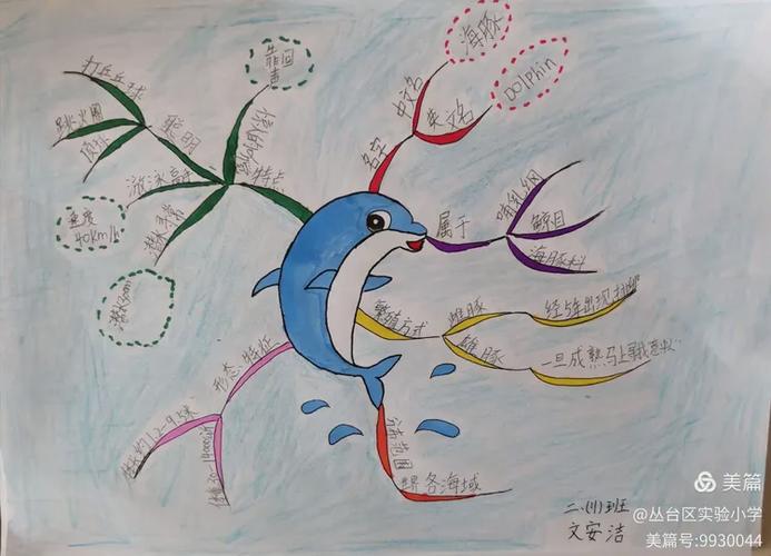 海底世界特点介绍缩略图