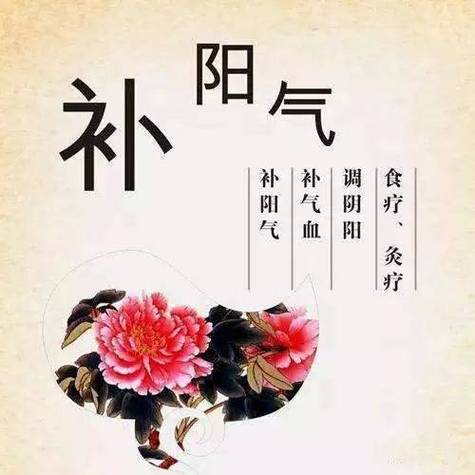 人体冬藏什么意思