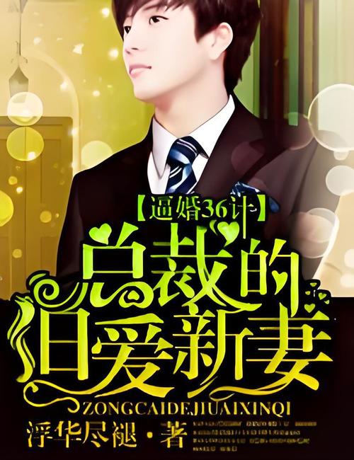 36计总裁旧爱新妻