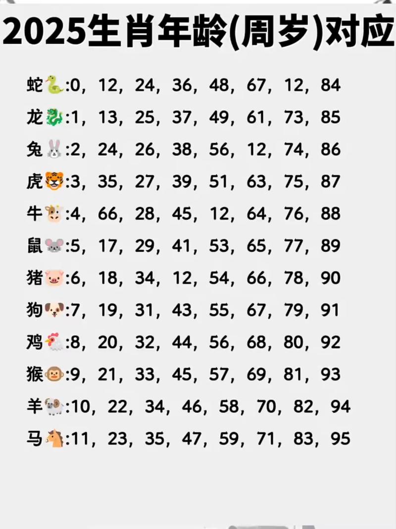 474849生肖号码大全