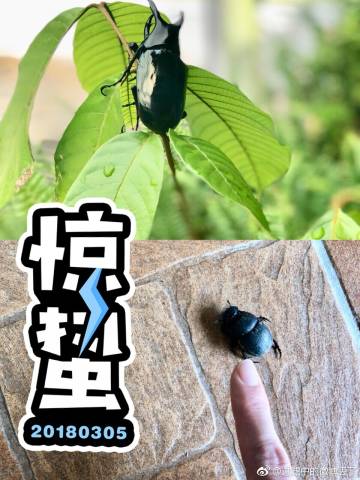 被过滤的评论是博主删除了吗截图