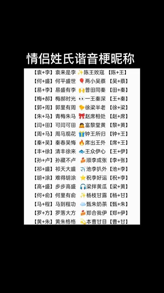 谐音梗情侣名