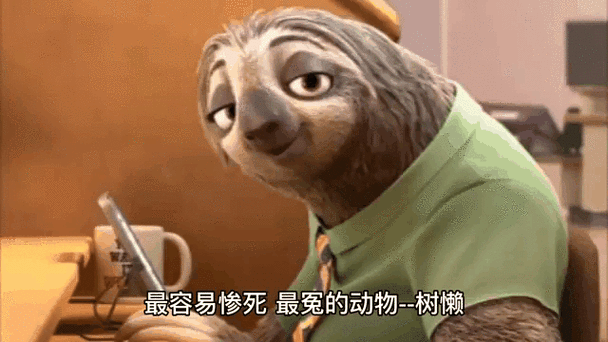 树懒为什么叫闪电
