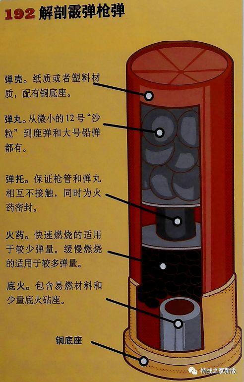 散弹子弹构造与原理图图标