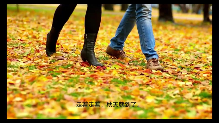 一个人在落叶中走视频截图