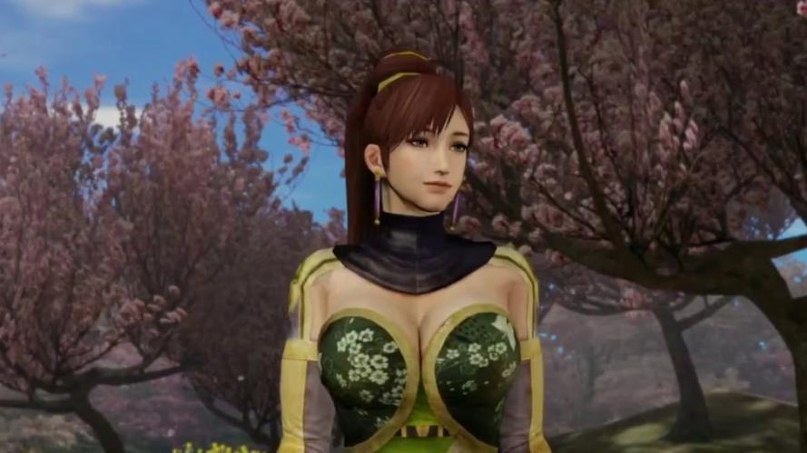真三国无双mod绅士