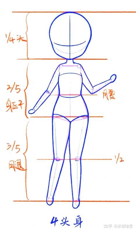 人物形体结构