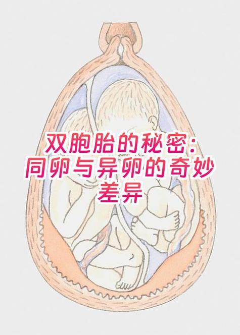 异系同型截图