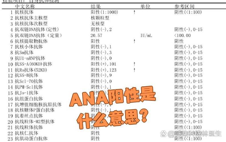 ANA阳性说明什么