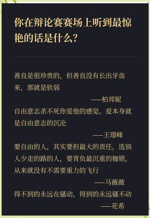 伟大辩手经典台词