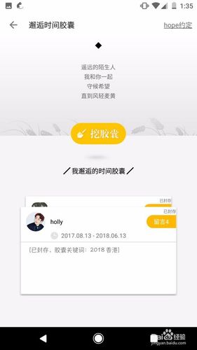 hope怎么看自己的胶囊