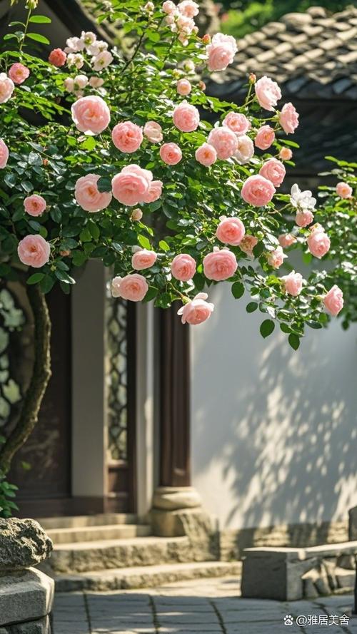 花开花落终有时,相逢相聚本无意