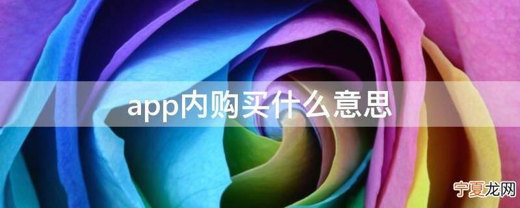 下载软件app内购买什么意思