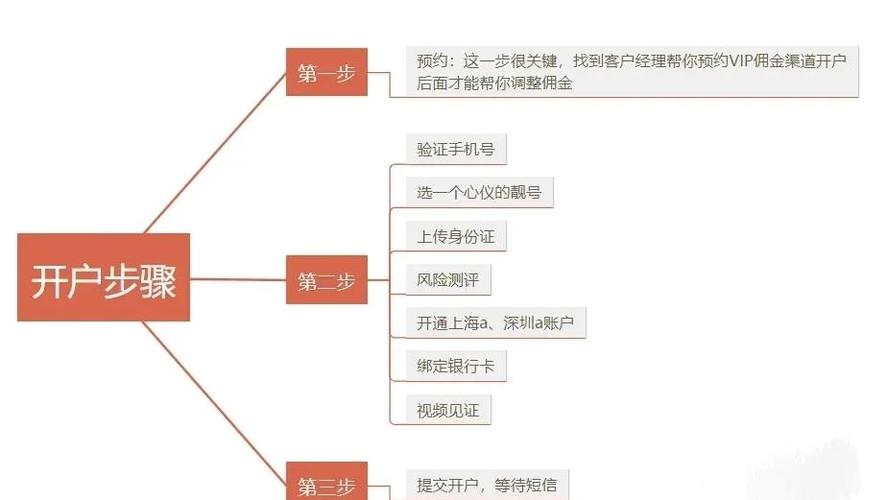 新手如何开通股票账户